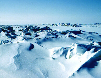 Miniatura: Kanada obawia się terrorystów w Arktyce