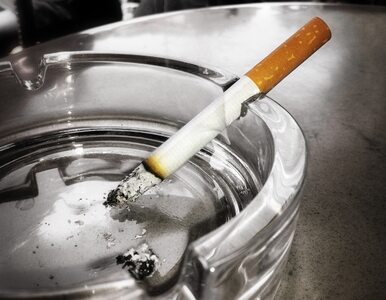 Miniatura: Rosja całkowicie zakazuje palenia w...
