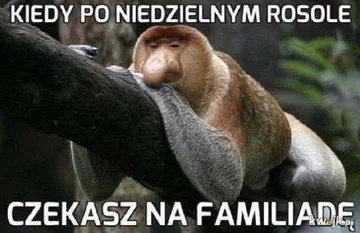 Memy o "Familiadzie" 