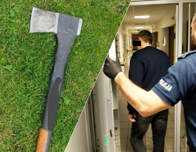 Miniatura: Ruszył z siekierą na plebanię....