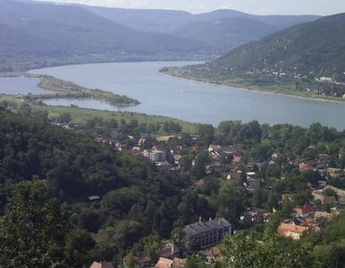 Miniatura: Dunaj jest coraz płytszy. "Sytuacja jest...