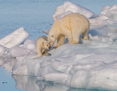 Miniatura: Szklane kulki miały zatrzymać… topnienie...