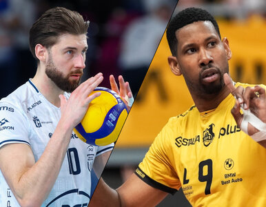 Miniatura: Giganci PlusLigi w akcji! Wilfredo Leon...