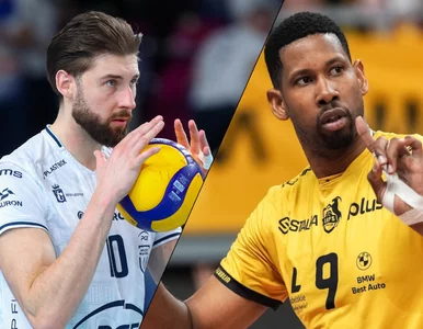 Miniatura: Giganci PlusLigi w akcji! Wilfredo Leon...