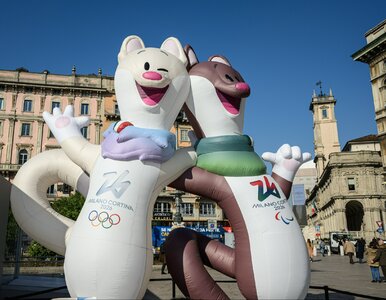 Miniatura: Zimowe igrzyska olimpijskie. Takie...