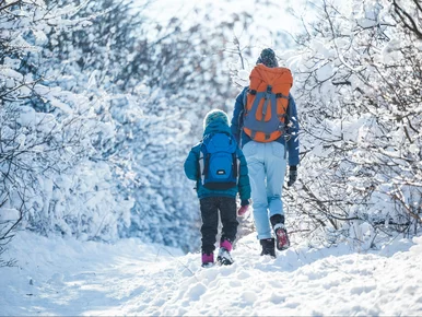 Miniatura: Tyle Polacy wydadzą na ferie zimowe....