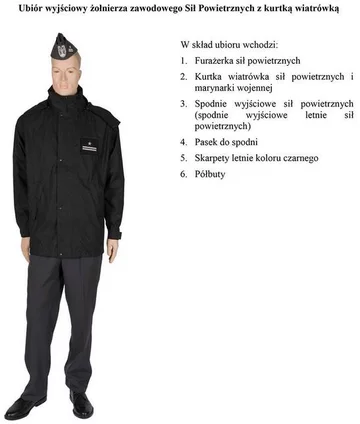 fot. MON/Polska-Zbrojna.pl