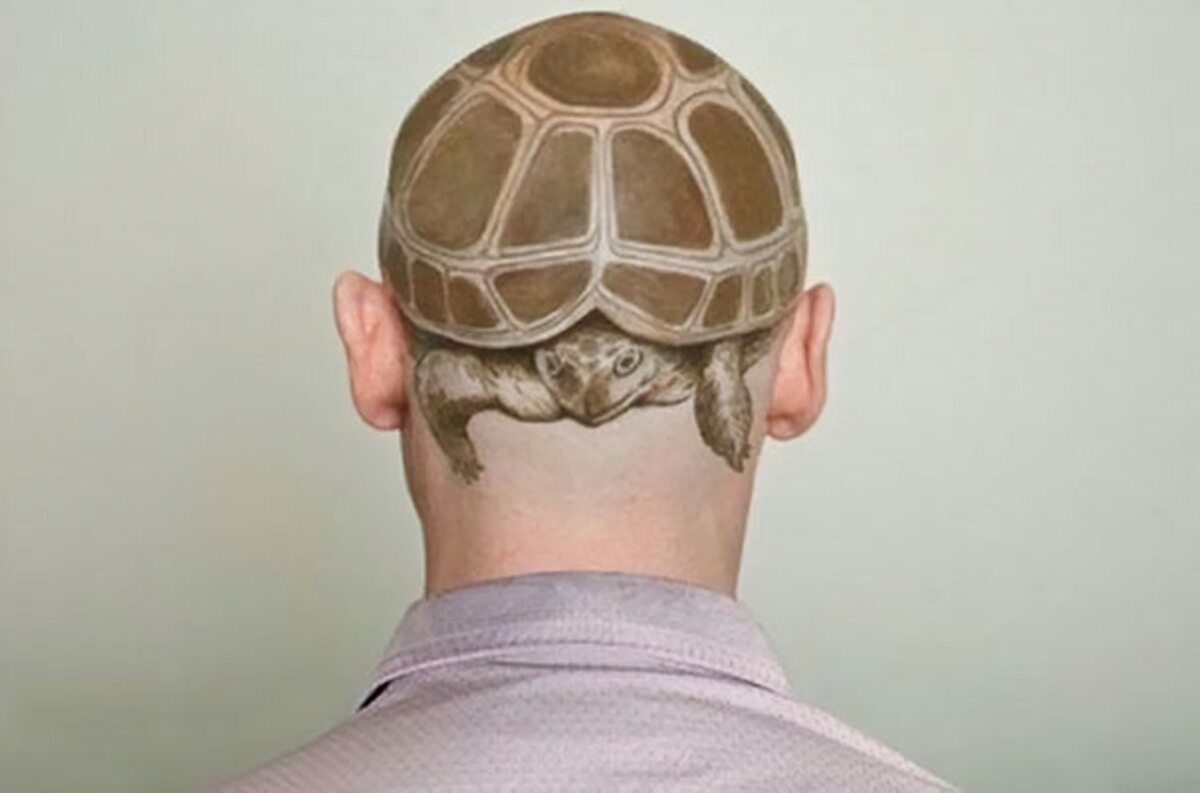 Żółw na głowie 