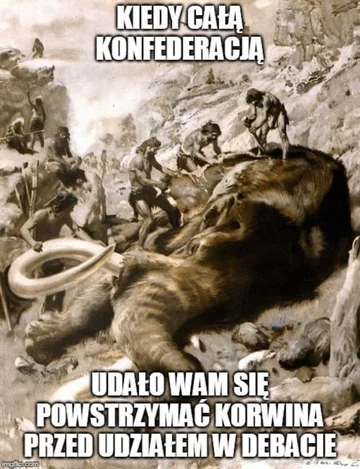 Mem po wyborach parlamentarnych 2019 