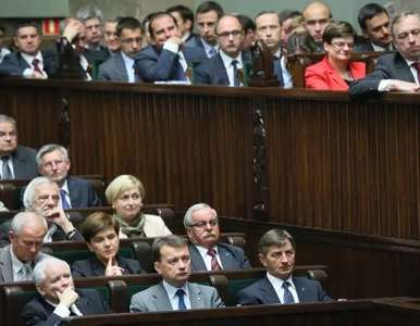 Miniatura: Poseł do Tuska: powinien pan synowi...