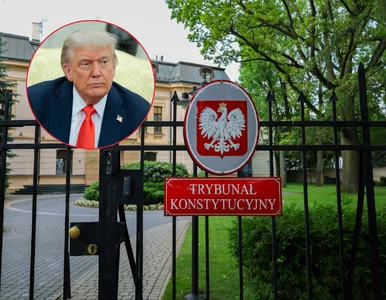 Miniatura: Donald Trump będzie interweniował ws. TK?...