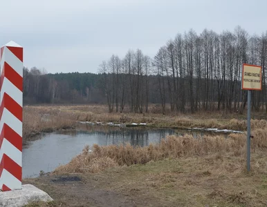 Miniatura: W pobliżu granicy z Białorusią znaleziono...