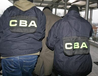 Miniatura: CBA wkroczyło do Ministerstwa Skarbu