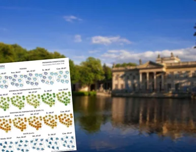 Miniatura: Synoptycy zapowiadają zwrot w pogodzie....