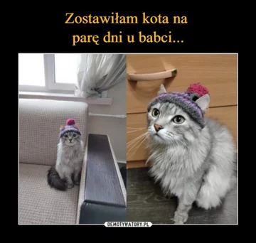 Dzień Babci i Dziadka za nami. Na wspomnienia najlepsze są MEMY 