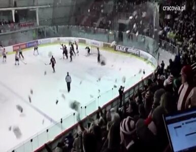 Miniatura: Jak w NHL. Na lodowisko Cracovii posypały...