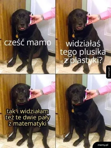 Mem z okazji Dnia Matki 