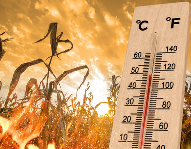 Miniatura: Koniec lata w Polsce? Meteorolodzy nie...