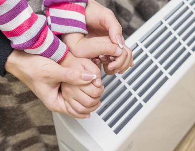 Miniatura: Uderzyć w smog