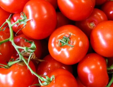 Miniatura: Rzucali pomidorami w partie. Happening pod...