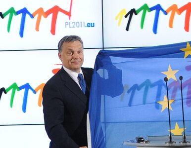 Miniatura: PO "siostrzaną partią" Fideszu? Orban...
