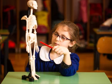 Miniatura: QUIZ 10 banalnych pytań z anatomii. Wstyd...