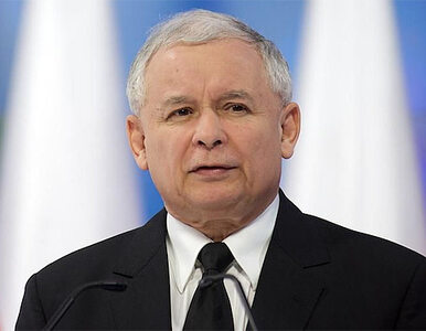 Miniatura: Kaczyński: Nie będzie sojuszu z...