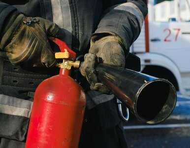 Miniatura: Dramatyczne skutki pożaru w Pszowie. Nowe...