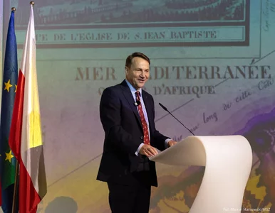 Miniatura: Дебати щодо безпеки Європи та України