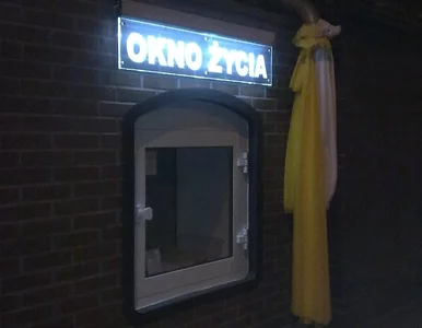 Miniatura: Kilkumiesięczny chłopczyk we wrocławskim...