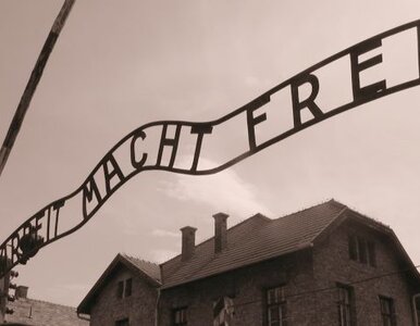 Miniatura: Strażnik z Auschwitz zmarł dzień przed...