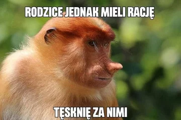 Smutny mem z nosaczem 