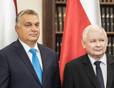 Kaczyński liczy na Orbana. Polityk z otoczenia prezesa: Jeśli Orban...
