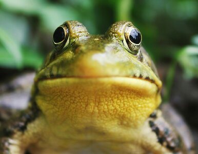 Miniatura: Poniedziałkowy QUIZ na logikę. Rozruszaj...