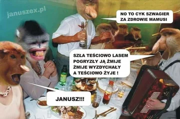 Mem z nosaczem sundajskim 