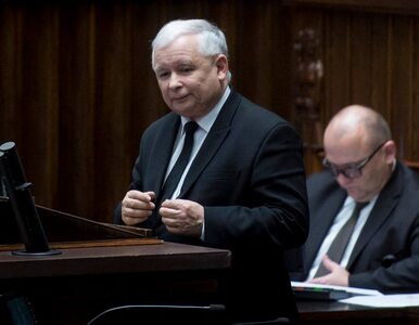 Miniatura: Wymiana zdań między Kaczyńskim i...