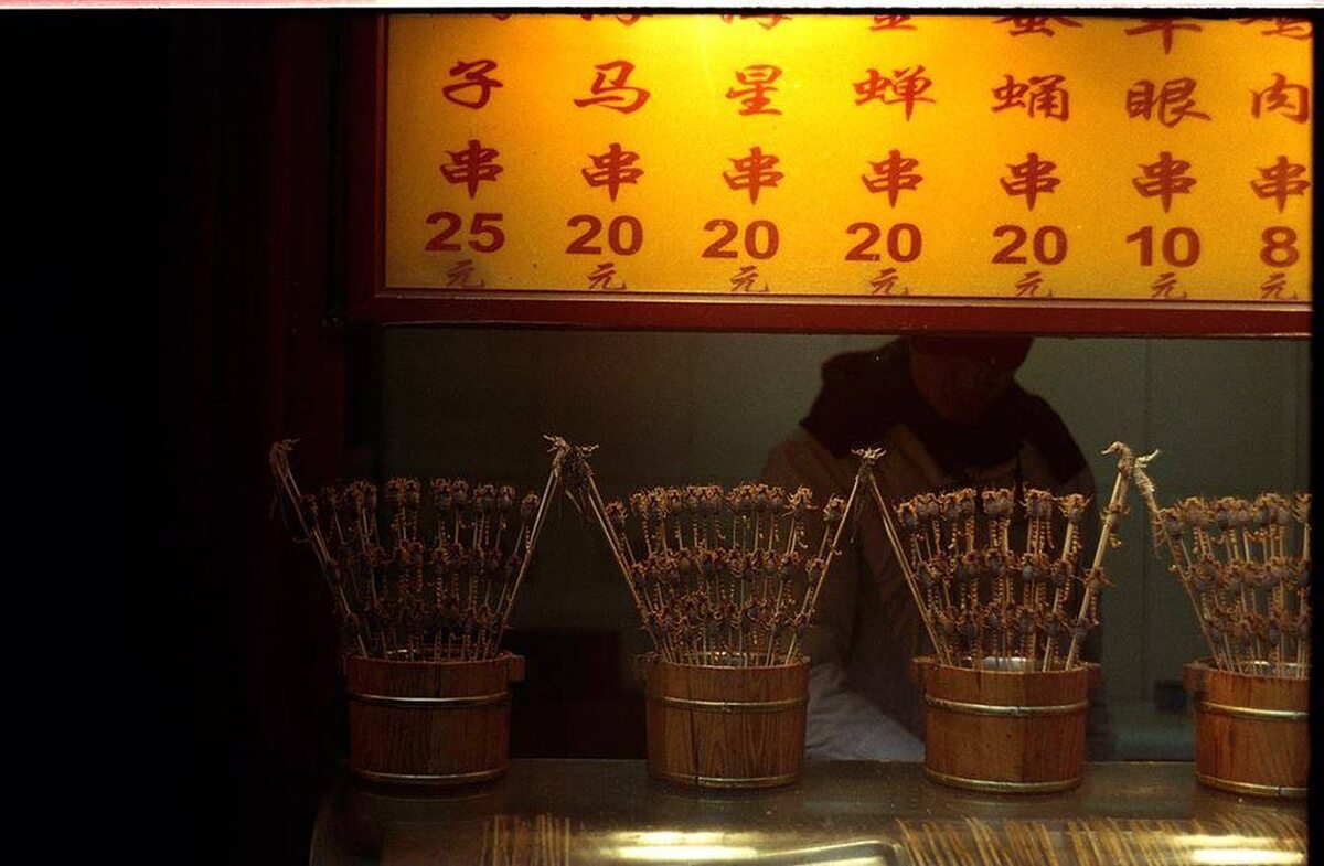 Suszone koniki morskie i małe skorpiony do jedzenia na targu w Pekinie. Cena jednego konika to około 12 PLN (fot. Kinga Pawlukiewicz)