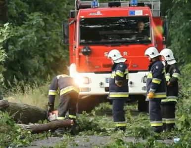 Miniatura: Nawałnica przeszła nad Gorzowem. Połamane...