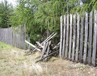 Miniatura: Złapał złodzieja, związał go i... poszedł...