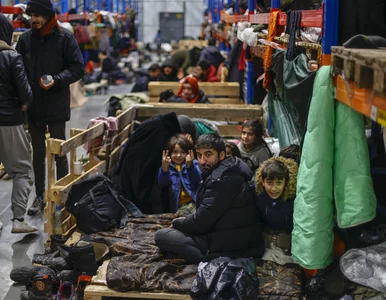 Miniatura: Protest w ośrodku dla migrantów. „Nie...