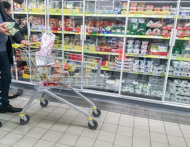 Miniatura: Te „perełki” z Biedronki mają skład jak...