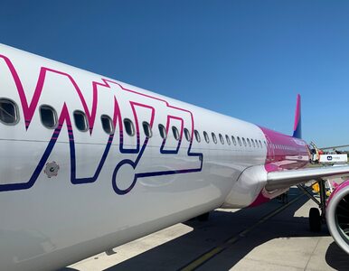 Miniatura: Tanie wakacje w marcu. Wizz Air sprzedaje...
