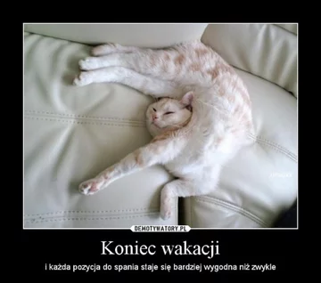 Zbliża się koniec wakacji. Internauci tworzą memy 