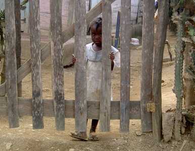 Miniatura: Sandy spowododuje głód na Haiti?