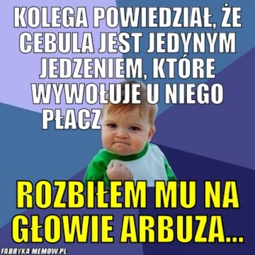 Memy z „success kid” 