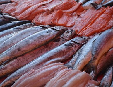 Miniatura: Co wiemy o jakości ryb na Pomorzu po...