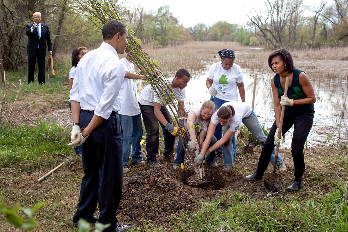 Barack Obamy z żoną nadzorujący sadzenie młodego drzewa. Na drugim planie Donald Trump z siekierą 