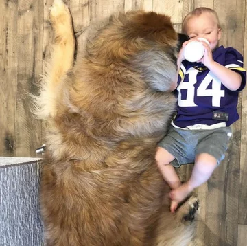 Lamont i jego przyjaciele 