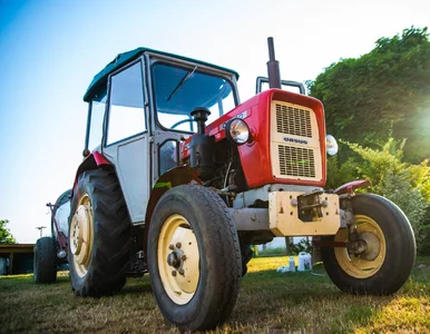 Miniatura: Rolnik z Belgii przypadkiem „zaanektował”...