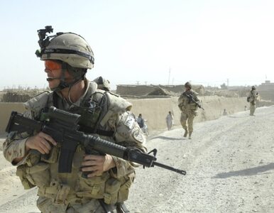 Miniatura: NATO atakuje obóz talibów. 50 rebeliantów...